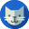the avatar of a cat used as the account icon