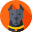 a grey pitbull dog with orange background